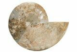 Choffaticeras (Daisy Flower) Ammonite Half - Madagascar #216929-1